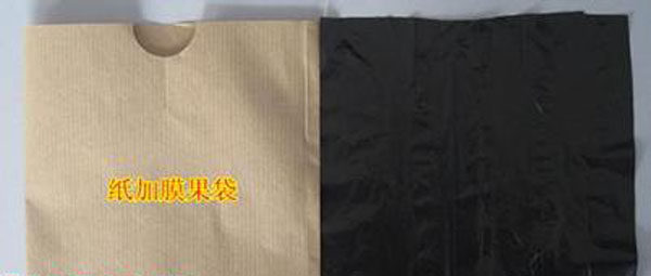 纸加膜果袋用苹果袋纸用炭黑